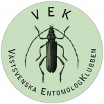 VEK-logga_stor