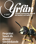 Yrfän